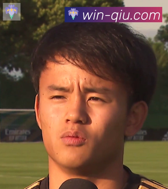 维尼修斯
